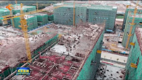 我市提前完成年度重大項目開工任務，累計新開工142個